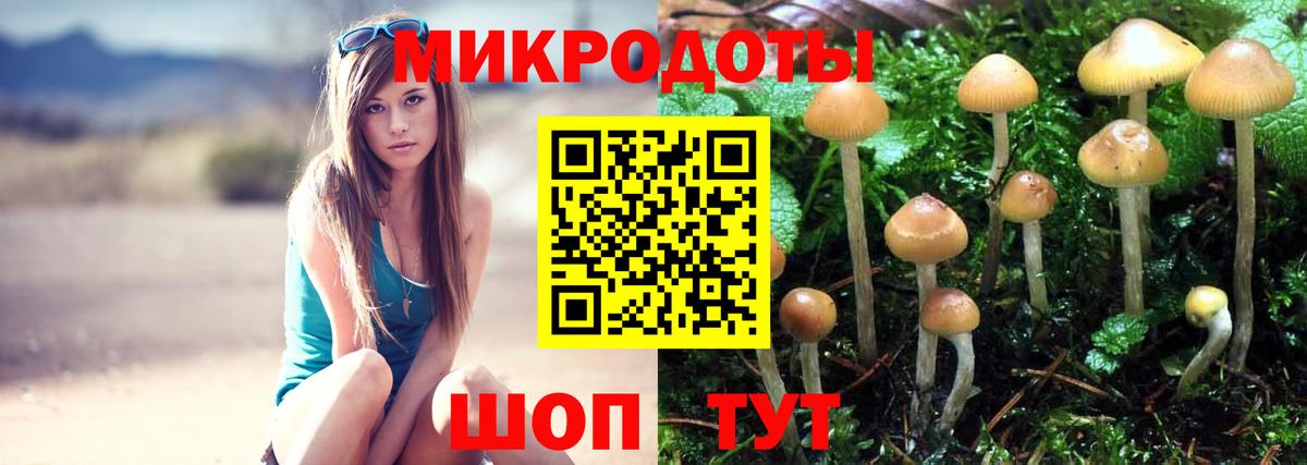 Старый Оскол  Псилоцибиновые грибы MAGIC MUSHROOMS  Вход с VPN 